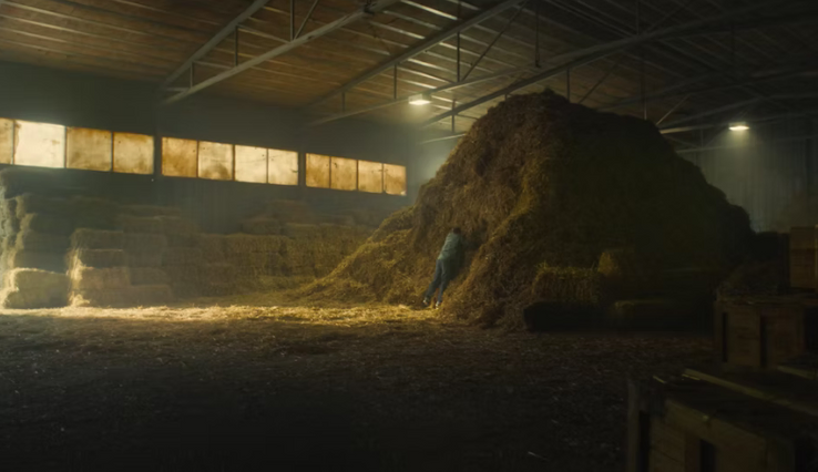 Avito, haystack
